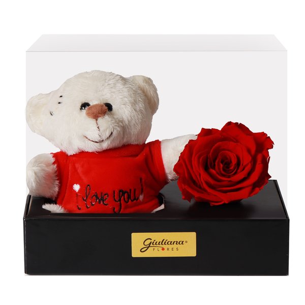 Caixa de Presente Rosa Encantada e Urso Dodói