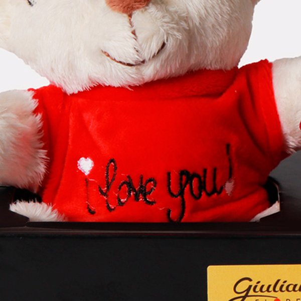 Caixa de Presente Rosa Encantada e Urso Dodói