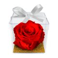 Mini Box de Rosa Encantada Vermelha