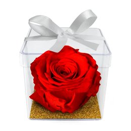 Imagem de Mini Box de Rosa Encantada Vermelha