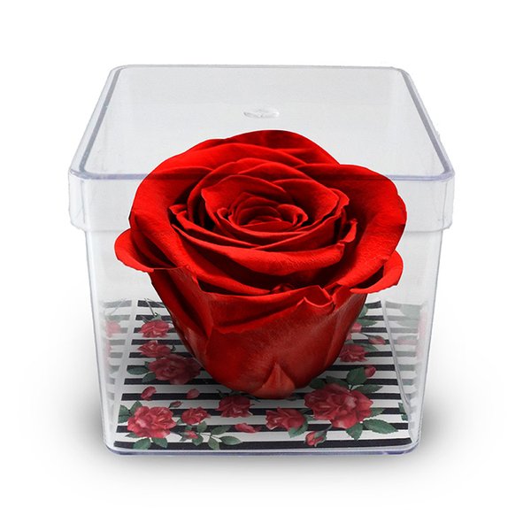 Mini Box de Rosa Encantada Vermelha