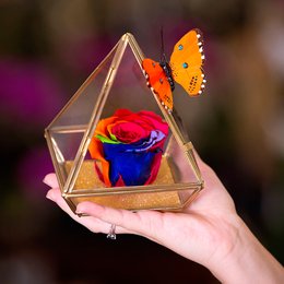 Imagem de Pirâmide de Rosa Encantada Arco-Iìris