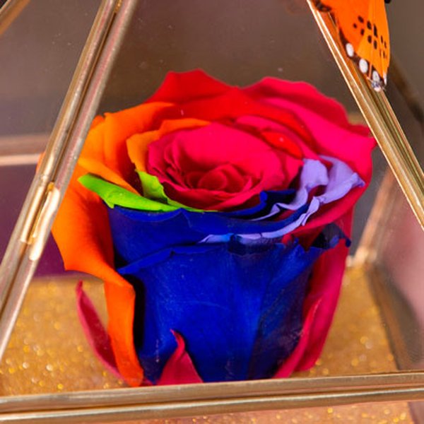 Pirâmide de Rosa Encantada Arco-Iìris