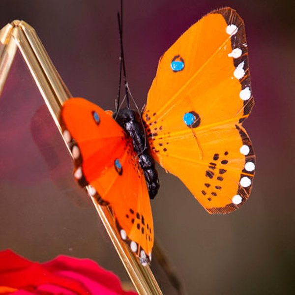 Pirâmide de Rosa Encantada Arco-Iìris