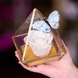 Imagem de Pirâmide da Rosa Encantada Branca