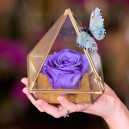 Imagem de Pirâmide da Rosa Encantada Lilás