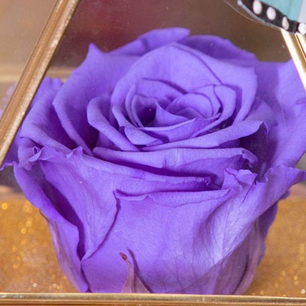 Pirâmide da Rosa Encantada Lilás