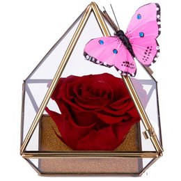 Imagem de Pirâmide da Rosa Encantada Vermelha