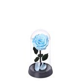 A Bela Rosa Encantada Azul Claro