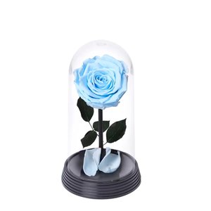 Imagem de A Bela Rosa Encantada Azul Claro