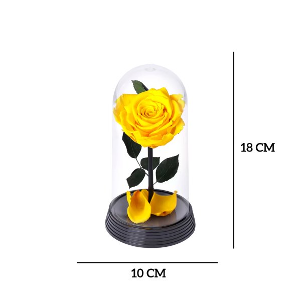 A Bela Rosa Encantada Amarela