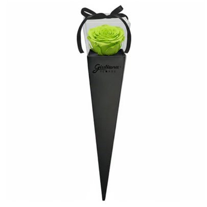 Cone Preto de Rosa Encantada Verde