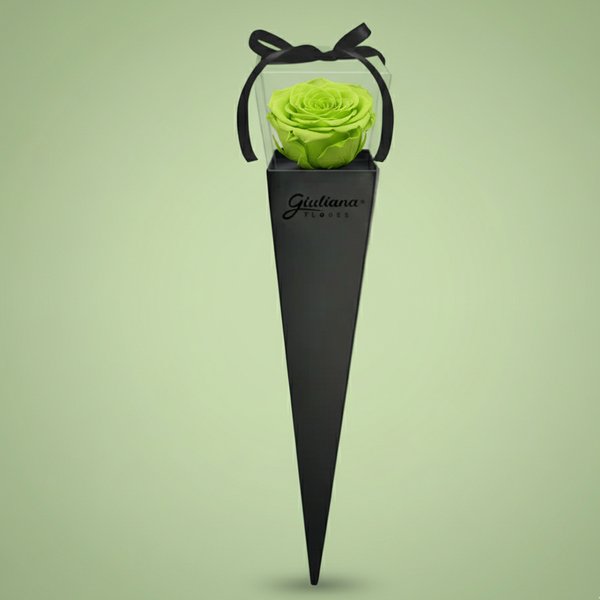 Cone Preto de Rosa Encantada Verde