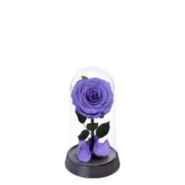 Imagem de A Bela Rosa Encantada Lílas