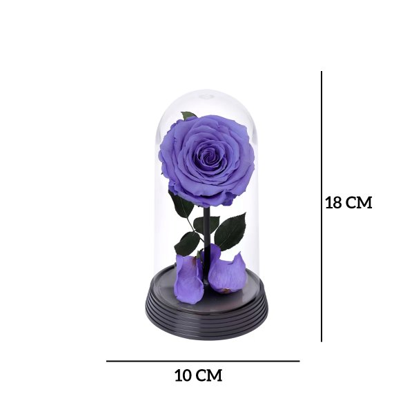A Bela Rosa Encantada Lílas