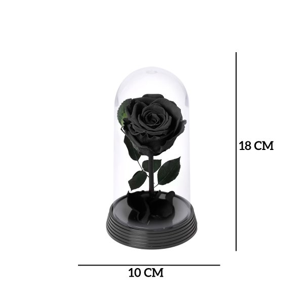 A Bela Rosa Encantada Preta
