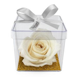 Imagem de Mini Box de Rosa Encantada Branca