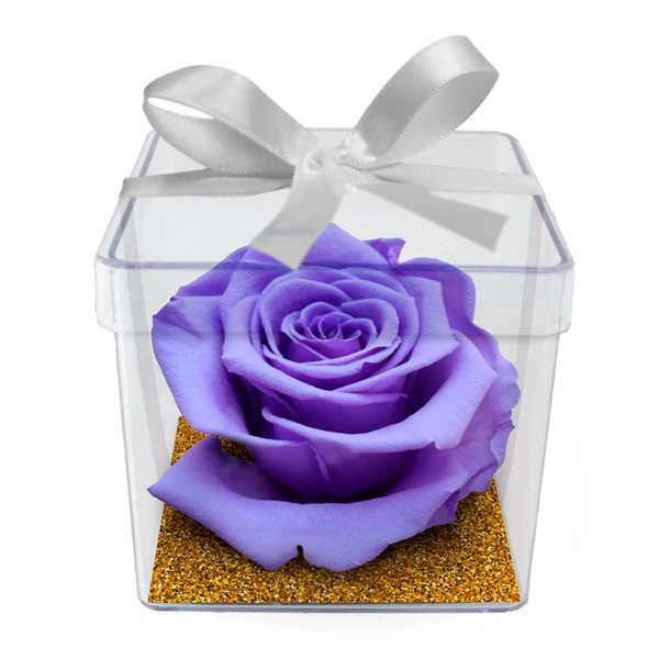 Rosa Encantada Lilás no Acrílico