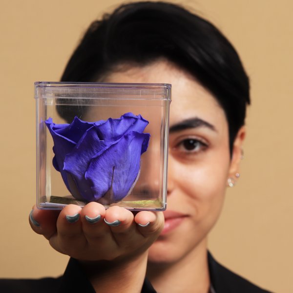 Rosa Encantada Lilás no Acrílico