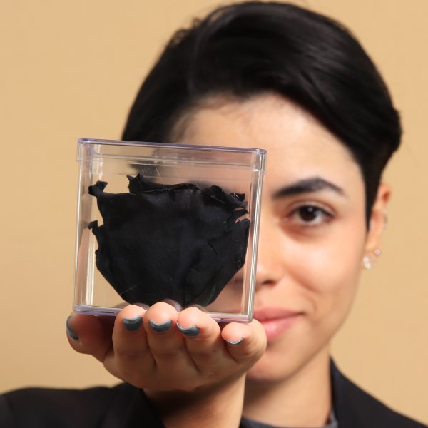 Rosa Encantada Preta no Acrílico