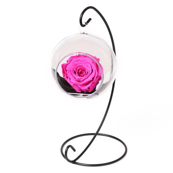 Pêndulo de Rosa Encantada Pink