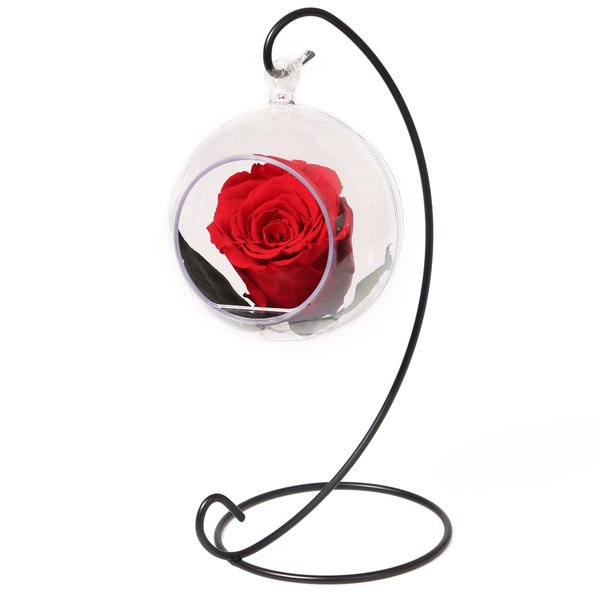 Pêndulo de Rosa Encantada Vermelha