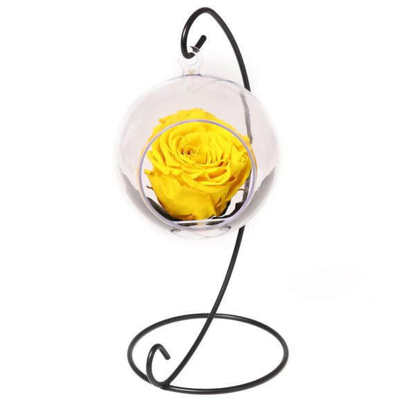 Pêndulo de Rosa Encantada Amarela