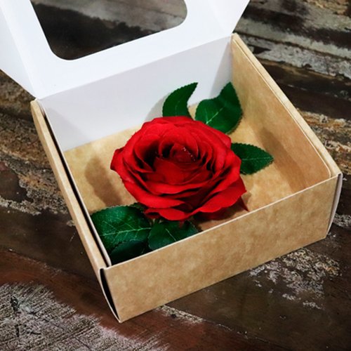 Rosa Artificial Vermelha na Caixa Craft