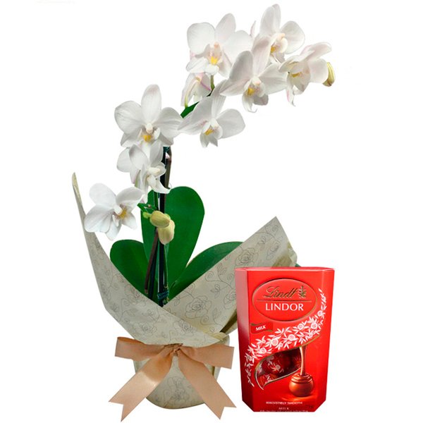 Mini Orquídea Rara e Caixa de Bombons Lindt