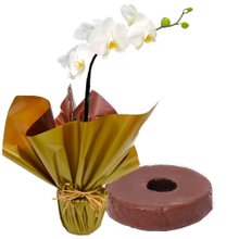 Linda Orquídea Branca e Bolo de Chocolate