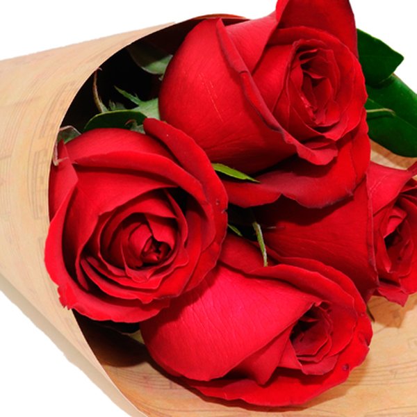 Buquê de 4 Rosas Vermelhas