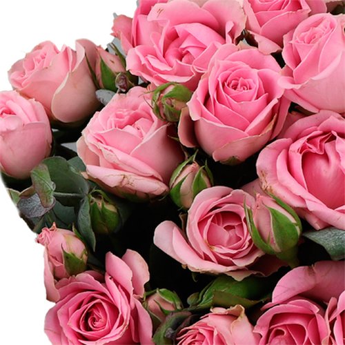Buquê de Flores Florence Rosa | Giuliana Flores Buquê de Flores Florence Rosa | Giuliana Flores