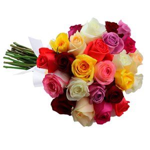 Imagem de Buquê de 24 Rosas Coloridas