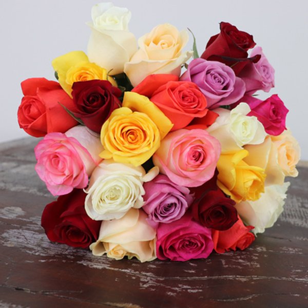 Buquê de 24 Rosas Coloridas