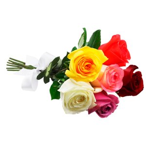 Imagem de Buquê de 6 Rosas Coloridas