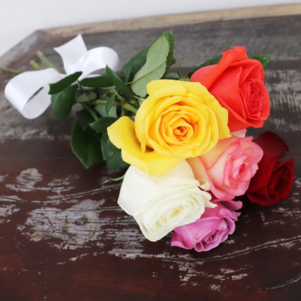 Buquê de 6 Rosas Coloridas