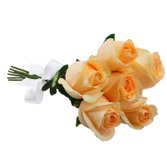 Buquê de 6 Rosas Champanhe