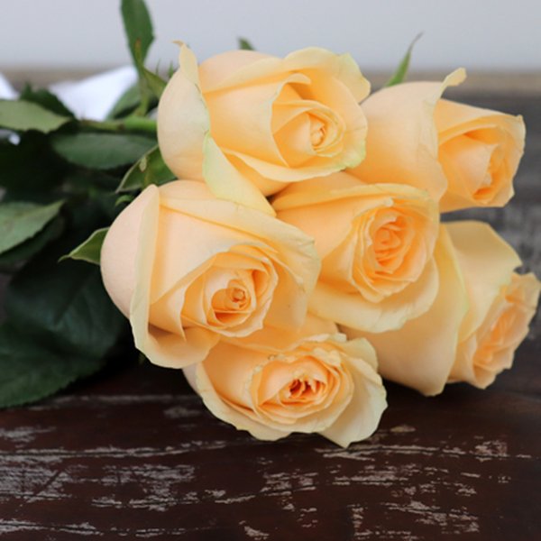 Buquê de 6 Rosas Champanhe