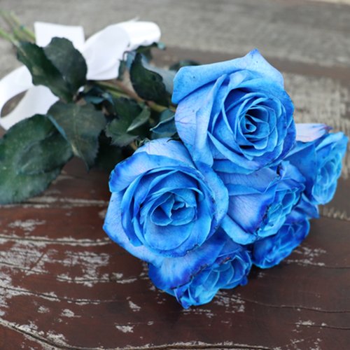 Buquê de 6 Rosas Azuis