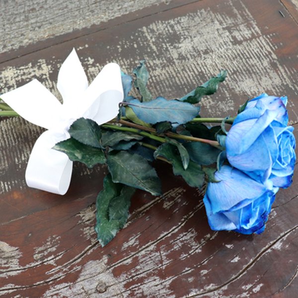 Buquê de 6 Rosas Azuis
