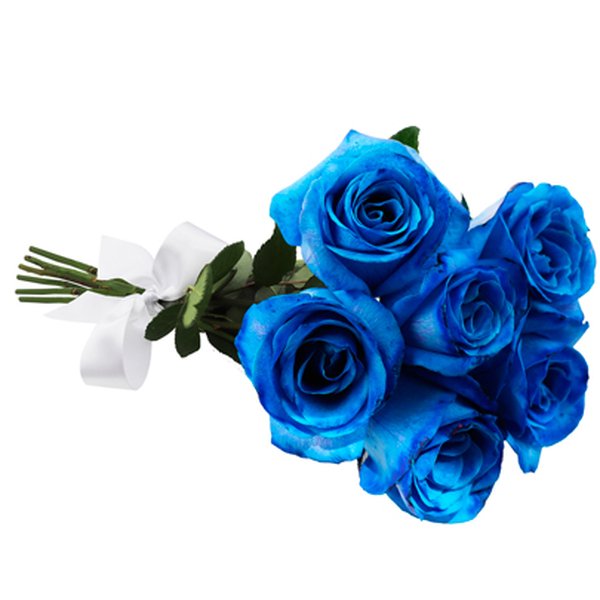 Buquê de 6 Rosas Azuis