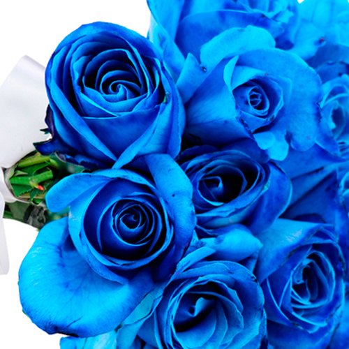 Buquê de 24 Rosas Azuis