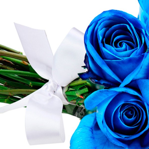 Buquê de 24 Rosas Azuis