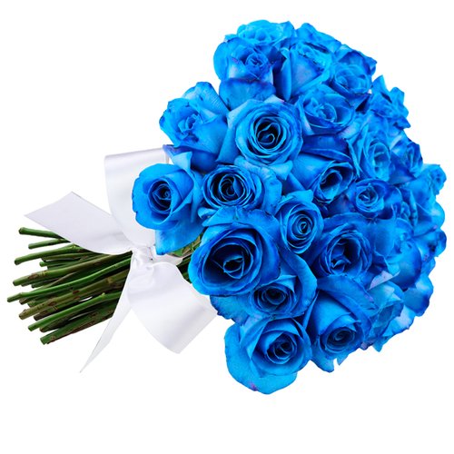 Buquê de 36 Rosas Azuis