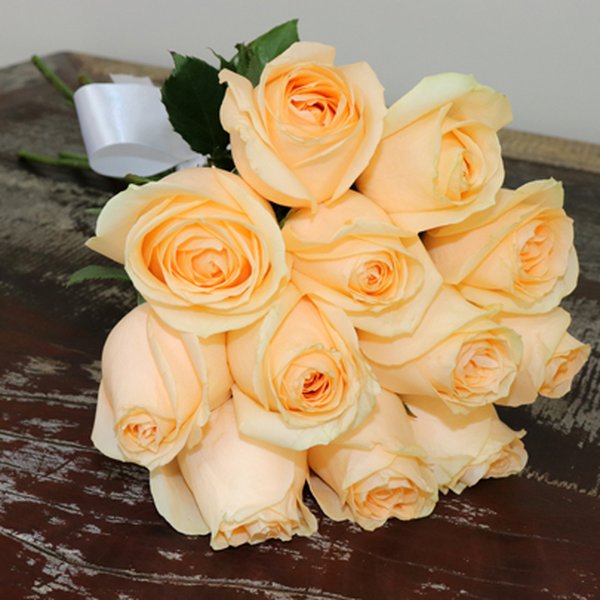 Buquê de 12 Rosas Champanhe