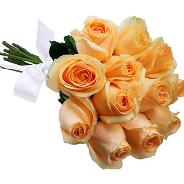Buquê de 12 Rosas Champanhe