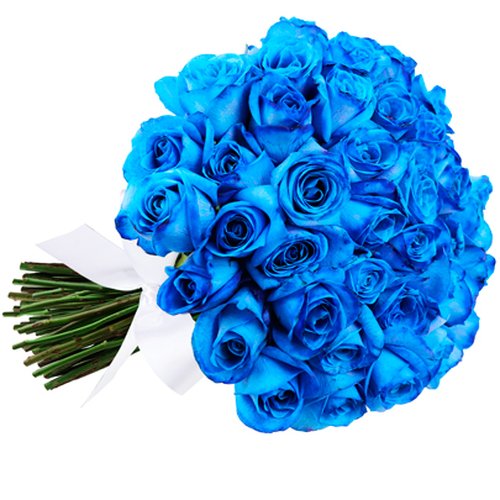 Buque de 42 Rosas Azuis