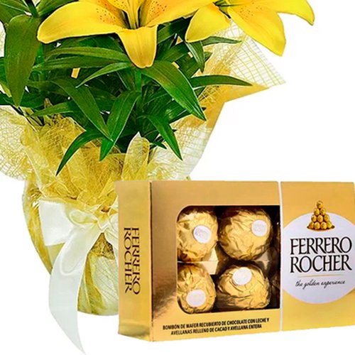 Lírio Amarelo Plantado e Chocolate Ferrero