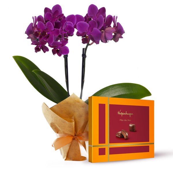 Mini Orquídea Rara e Pão de Mel Recheado Kopenhagen
