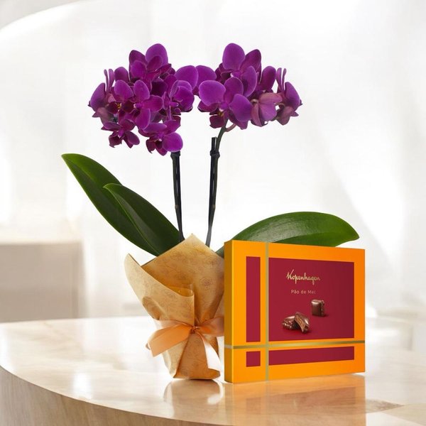 Mini Orquídea Rara e Pão de Mel Recheado Kopenhagen